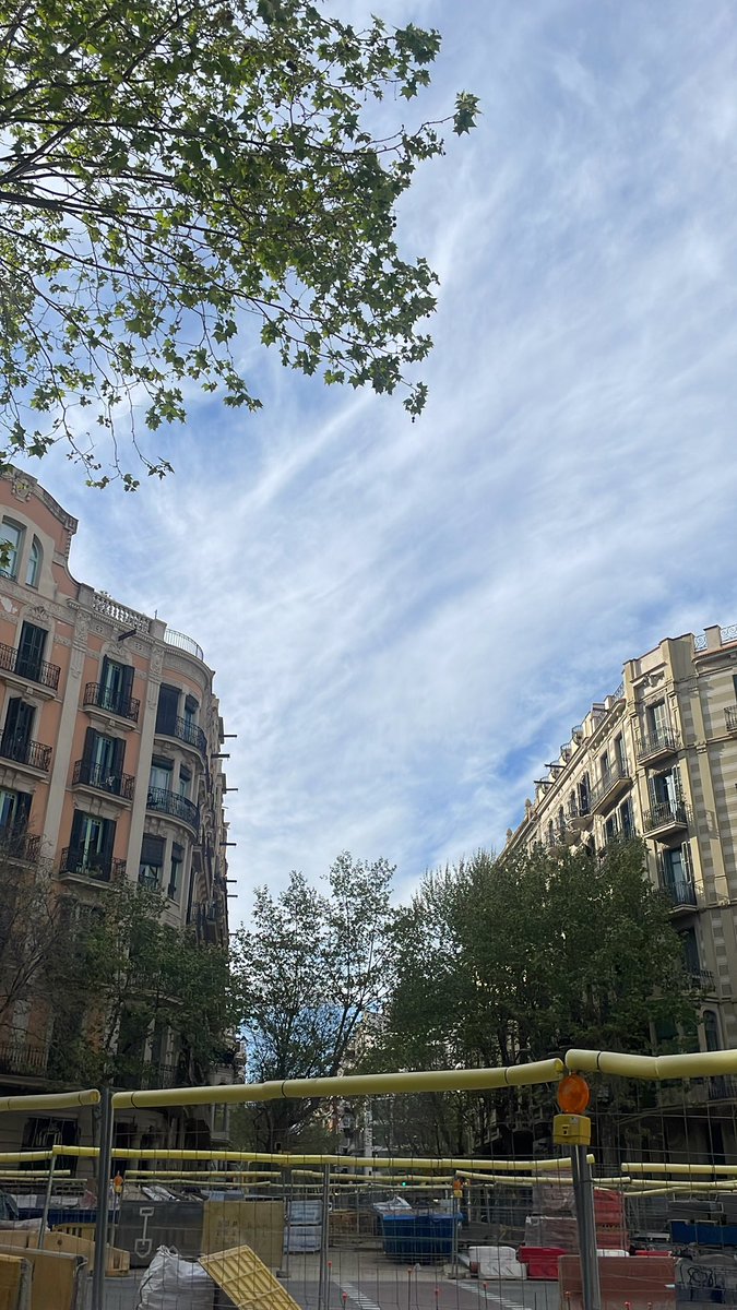 Alex Gumarov tweet media