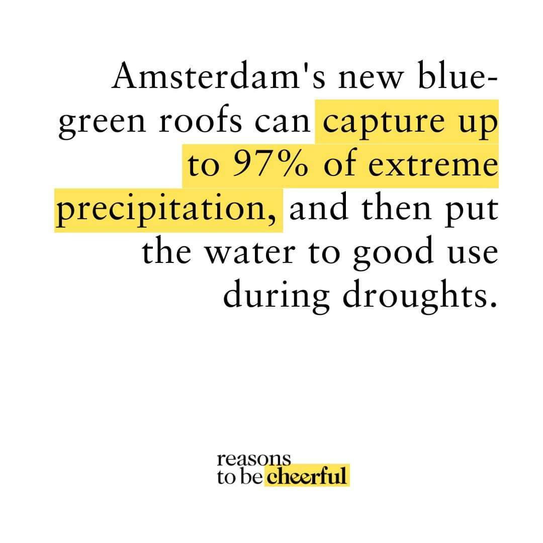 CleanAirMoms's tweet image. Welcome back to #StatsSunday — your statistical fix, pulled from this week’s stories.⁠ Read this stat’s story here: bit.ly/3nVifve