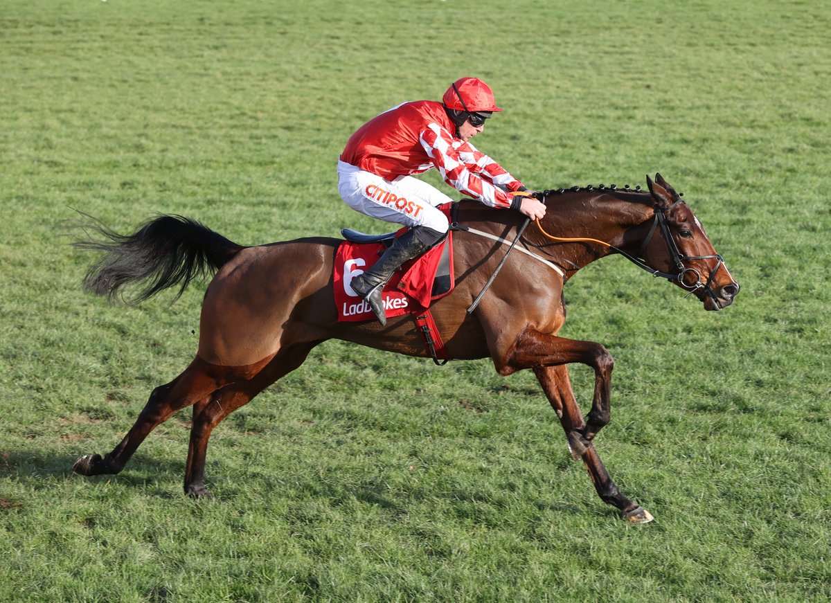 myracingtips's tweet photo. RIP Mighty Potter 💔 https://t.co/KZId8V3L7l