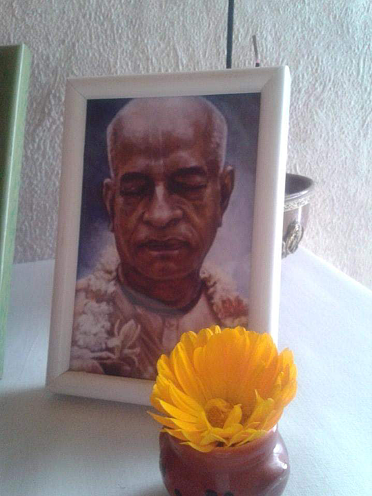 মায়াপুর ইসকনের গুরুদেব শিচো কে কার্তিক বর্মন মায়াপুর ইসকনের গুরুদেবের শীর্ষ হয়