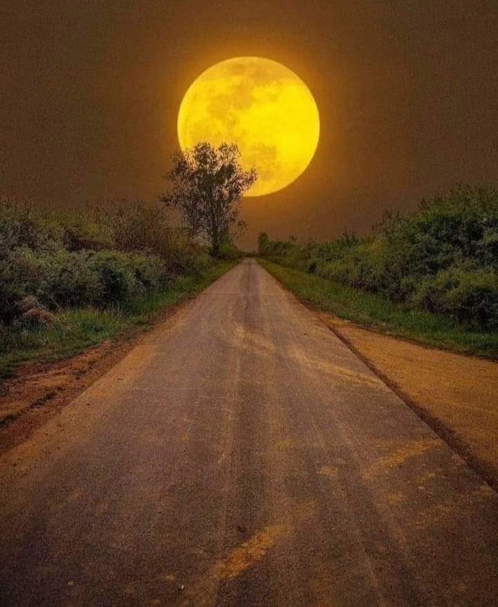 آوپیدل ہی چل نکلتے ہیں .

یہیں چاند تک تو جانا ہے.
#قومی_زبان 
#ماہی