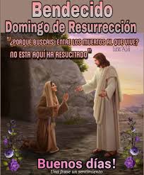 🇻🇪 📢 ¡ETIQUETA DEL DÍA!  ▶️ 

#DomingoDeReencuentro