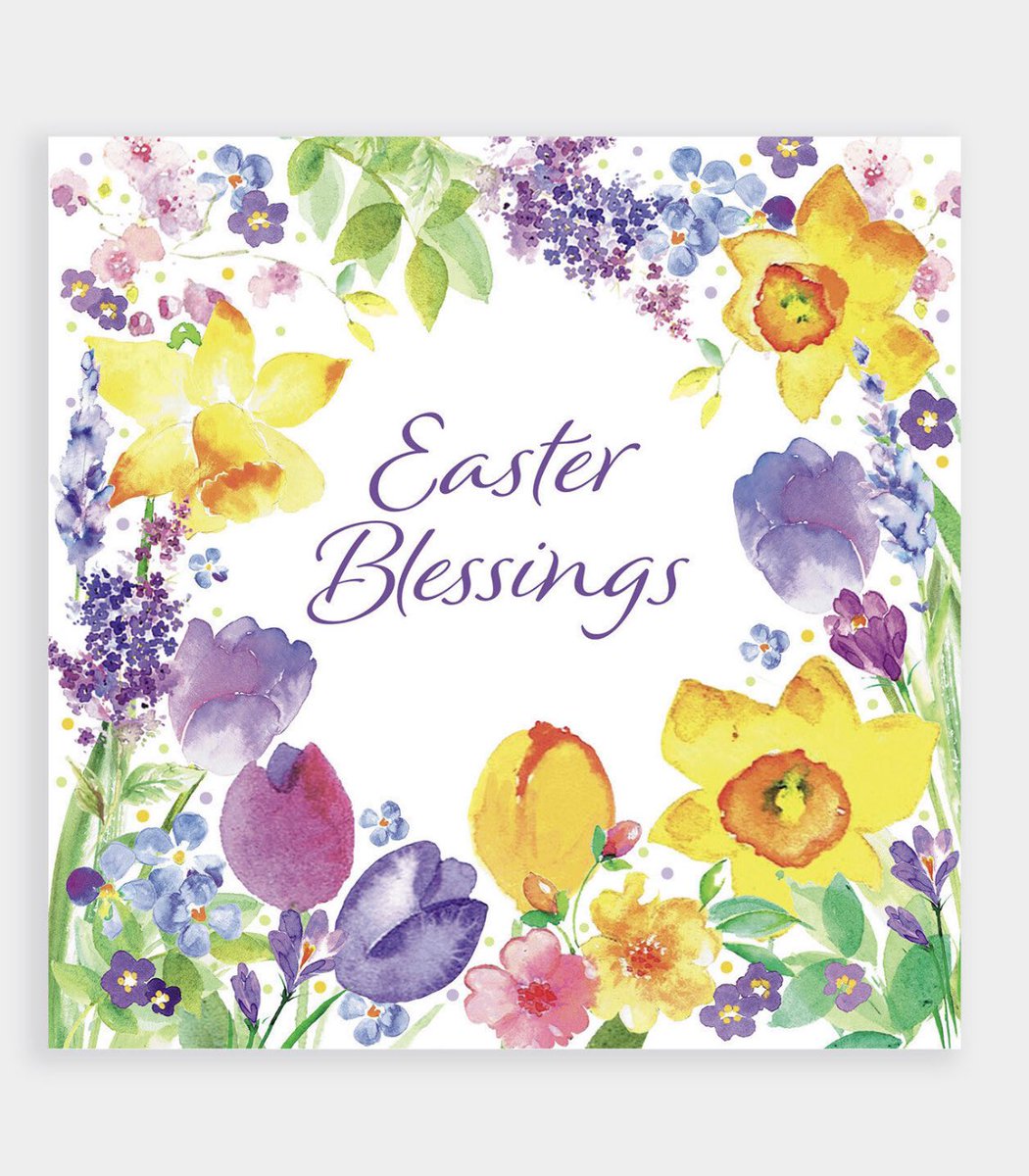 Kathleen Gati tweet media