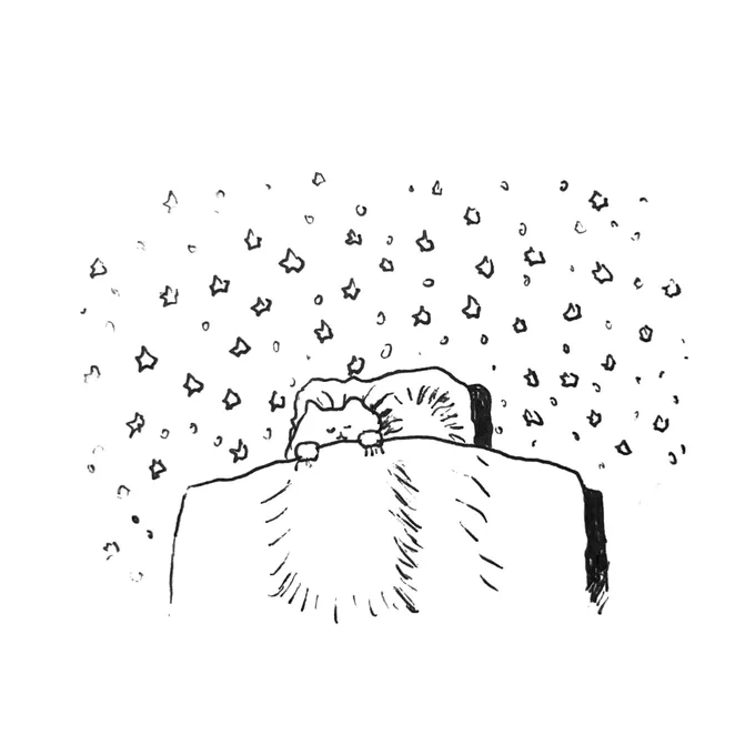 ねこ 