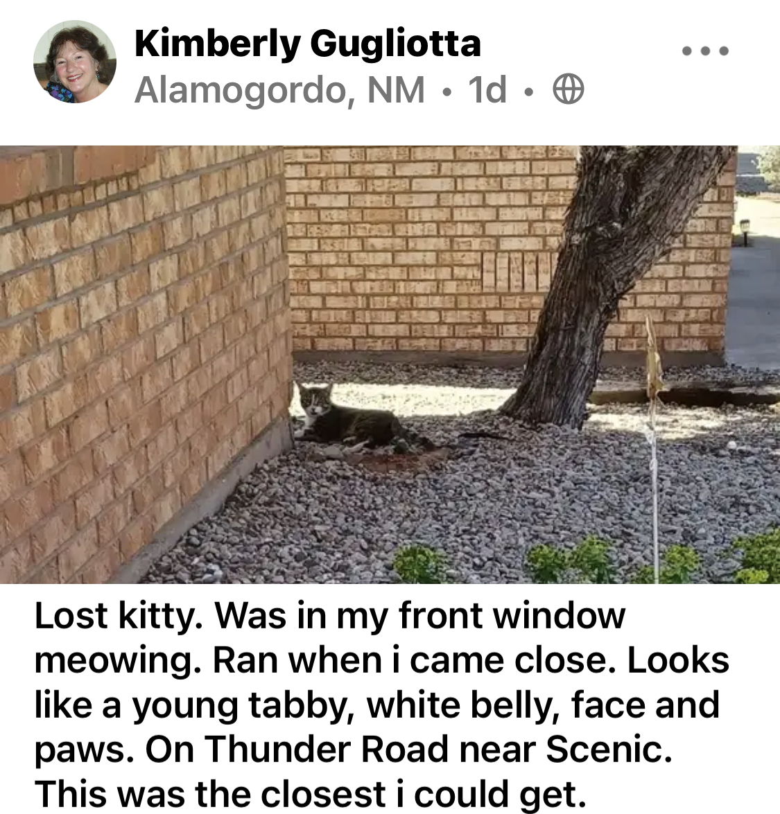 AnimalVillageNM's tweet image. 💔PLEASE KEEP CATS SAFE INSIDE WITH THE REST OF THE FAMILY 💔 Lost kitty. — Nextdoor - Nextdoor 
nextdoor.com/p/JSNCT7h5LDkh… #insidecat #indoorcat #indoordog