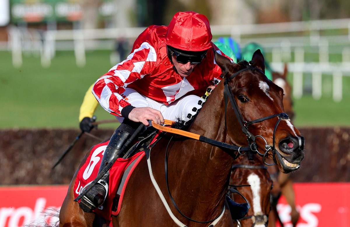 AtTheRaces's tweet image. Thanks for everything, Mighty Potter ❤️