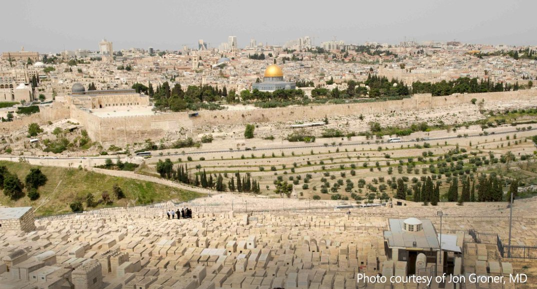 HealingDivides's tweet image. As our three Abrahamic festivals coincide today, may we all remember our shared humanity and common destiny. Wishing all of our friends a peaceful and meaningful Easter, Passover and Ramadan. 🌸🌾🌍
#HealthForAll