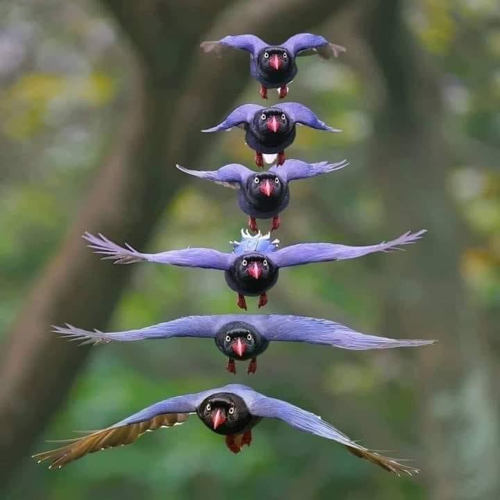 InsatiableVVIP's tweet photo. Fly High ……💘🍁🌿💕🌸😘❤️🌷 https://t.co/m8uYsDLTTh