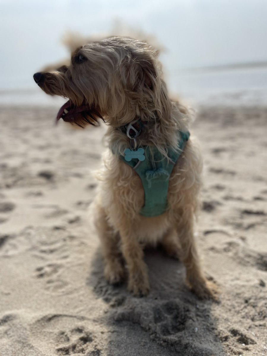 Strand! Genieten op eerste Paasdag 🐣