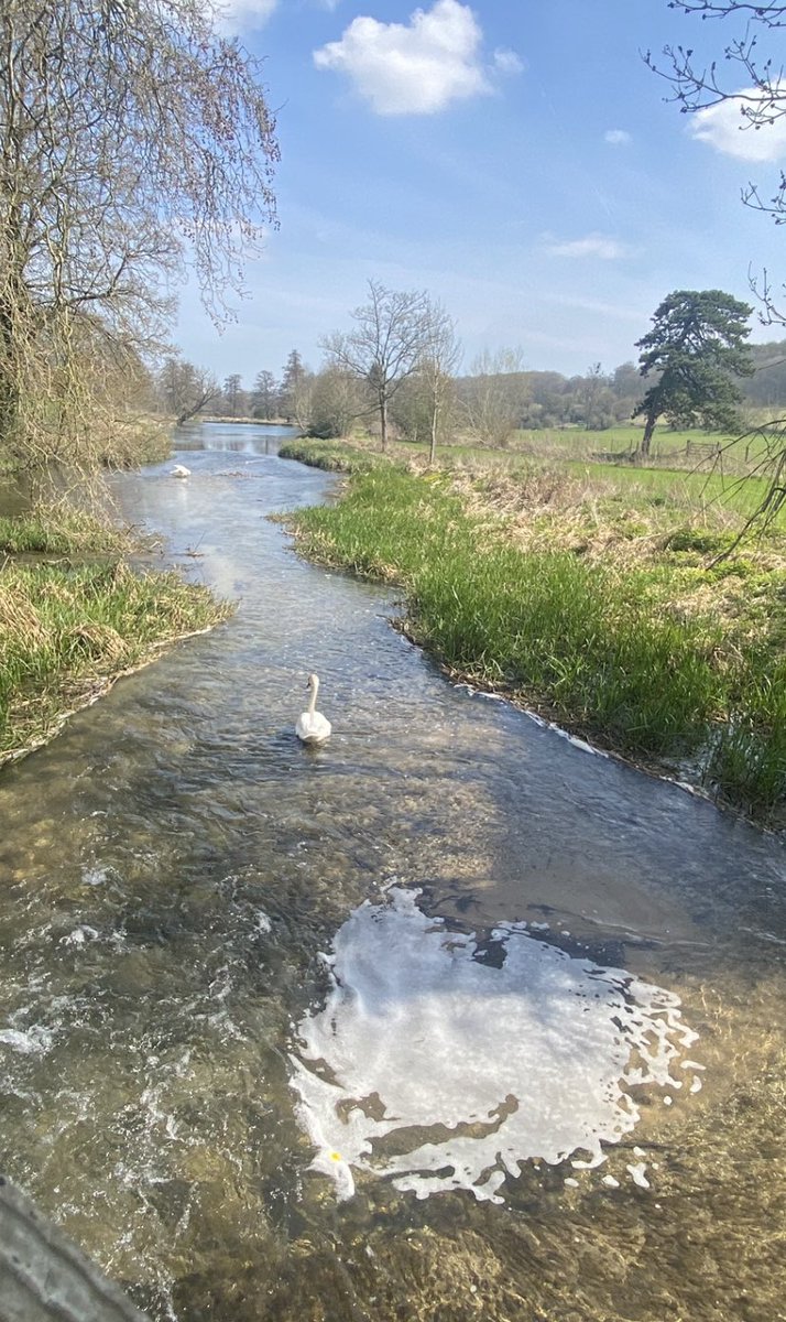 pol_claire's tweet photo. How lucky are we to live in a beautiful part of the country. Hope you have all had a lovely Easter. 🐣❤️🐰 #easterwalk #riverchess #Easter2023 https://t.co/GzhgIqlg1H