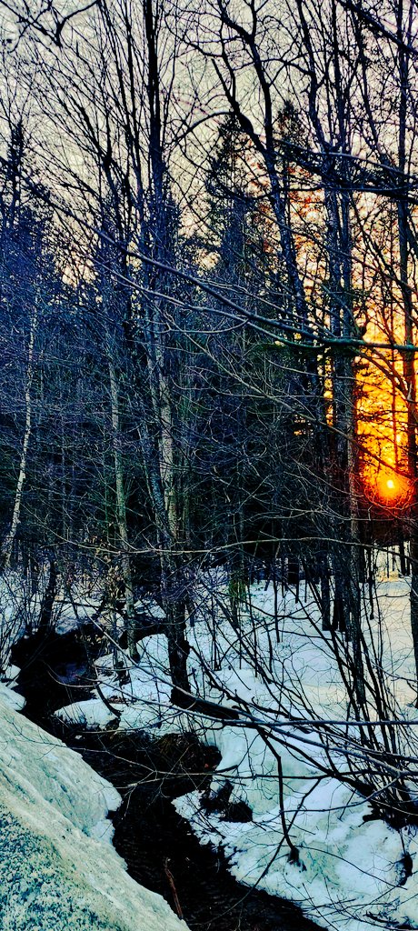 lemaillardpoete's tweet photo. ► ❝ Le ruisseau est l'enfance de l'océan ... ❞ 
 
            ~ Maillard ~

•Citation inédite
©️Maillard. https://t.co/bDK4Jykvjq