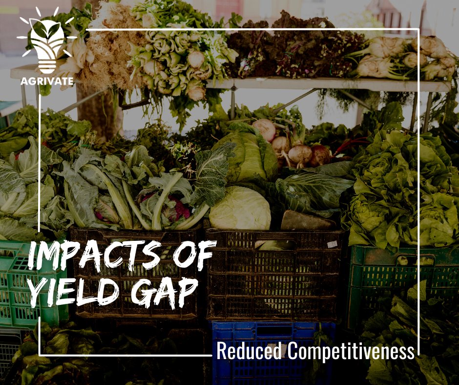 AgrivatePk's tweet photo. The #yield #gap in #agriculture in #Pakistan refers to the difference between actual #crop yields and #potential yields, resulting in #reduced #competitiveness for #Pakistani #farmers in the #globalmarket. https://t.co/dK6CzXM4bF