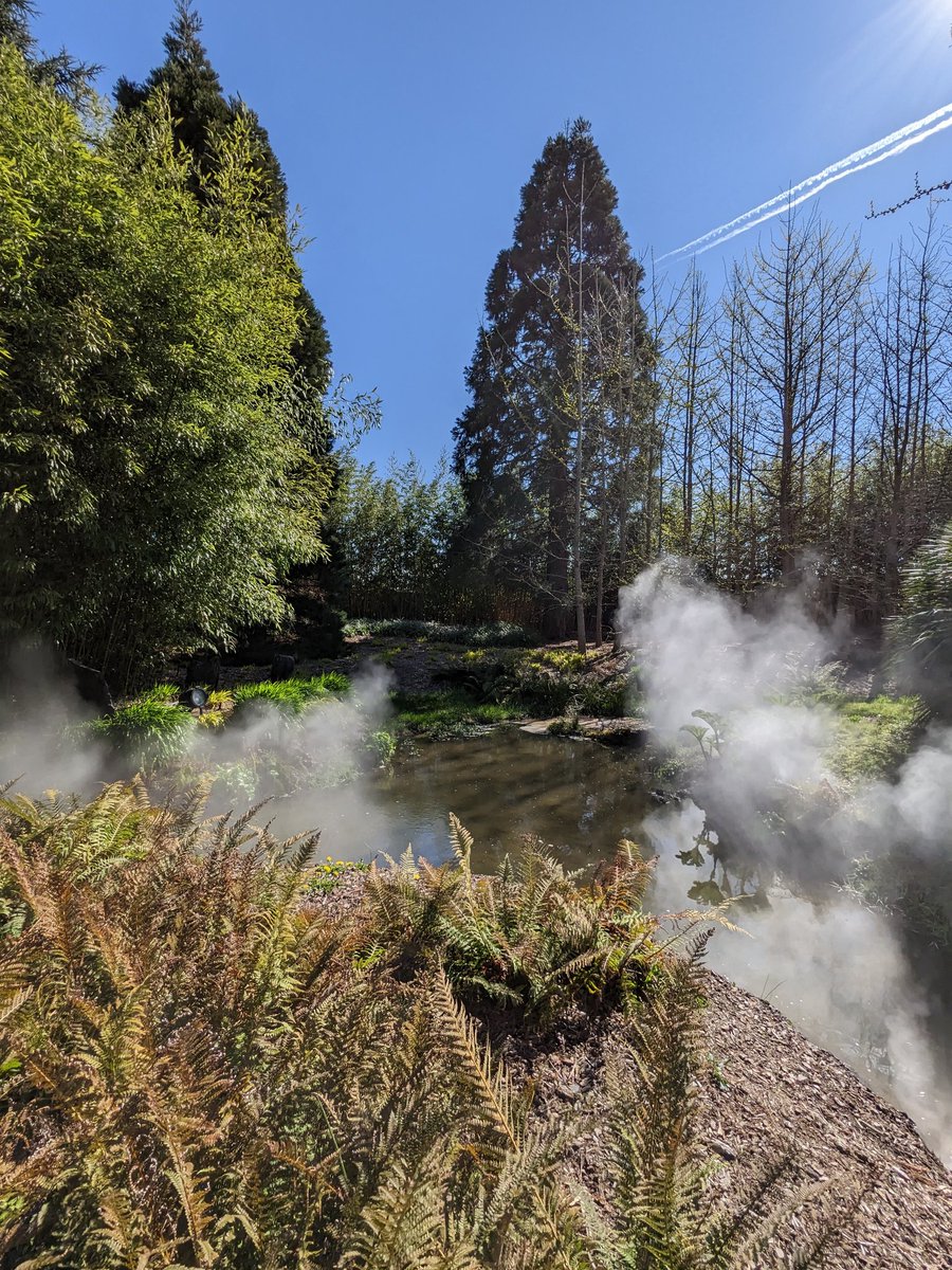 Maxime Yonnet tweet media