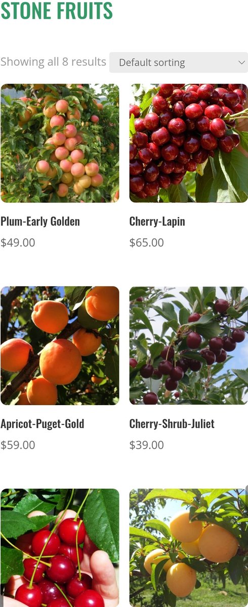 Christi Hodgson tweet media