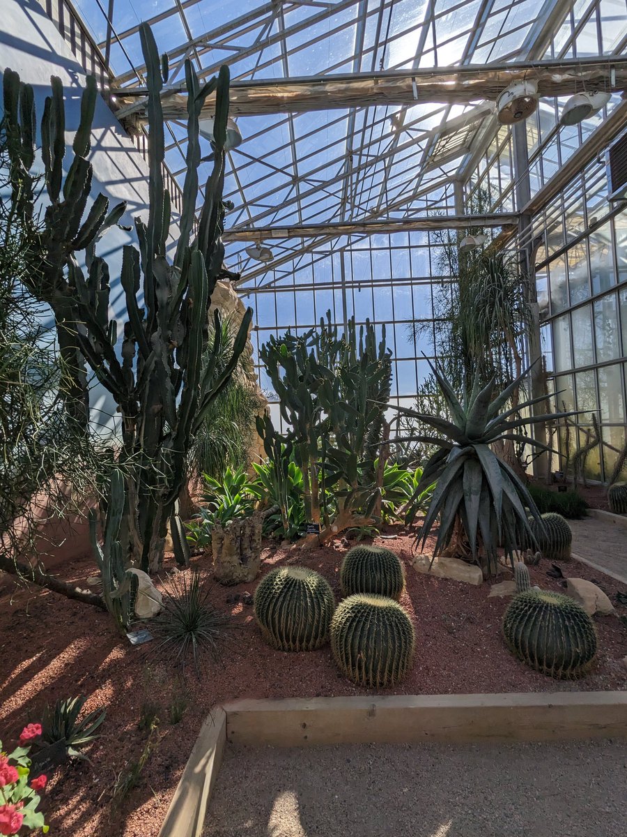 Maxime Yonnet tweet media