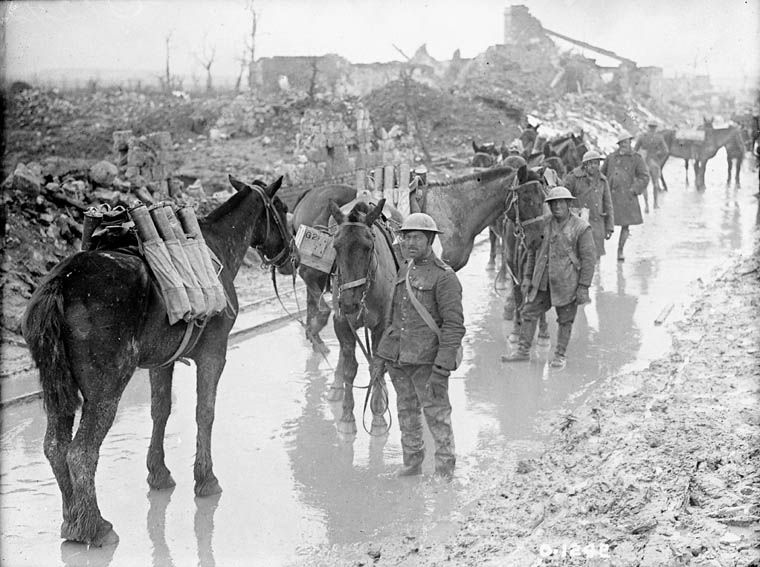 Apr 9 1917 - Apr 12 1917 During the Battle of Vimy, Canadian photographer William Ivor Castle shows pack horses transporting ammunition to the 20th Battery, Canadian Field Artillery …erche-collection-search.bac-lac.gc.ca/eng/home/recor…
