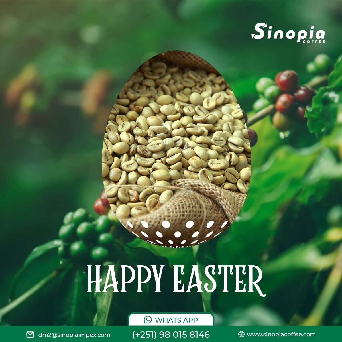 SinopiaCoffee's tweet photo. Happy Easter!
From the Sinopia team, we wish you a happy Easter. May your Easter celebration be filled with joy, laughter, and plenty of chocolate eggs and coffee.
In pursuit of producing and exporting exceptional coffees!
#easter #ethiopiancoffee #holidays #sinopiacoffee.com https://t.co/z2MBleyHPA