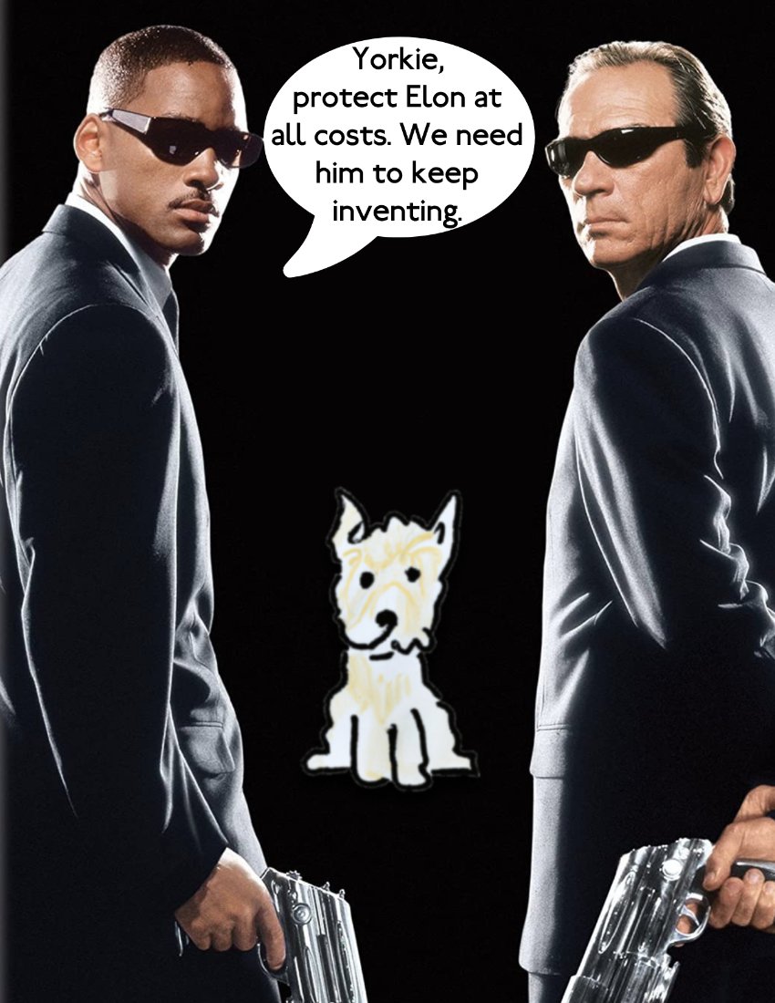 YorkieInu's tweet photo. @elonmusk @BillyM2k I always knew it ♥️

I remember when I've first seen you working in your study (insane equasions solved within minutes!). 

Few days later MIB paid me a visit (when you were out), to make sure I know what was going on. https://t.co/IZjfci6iXl