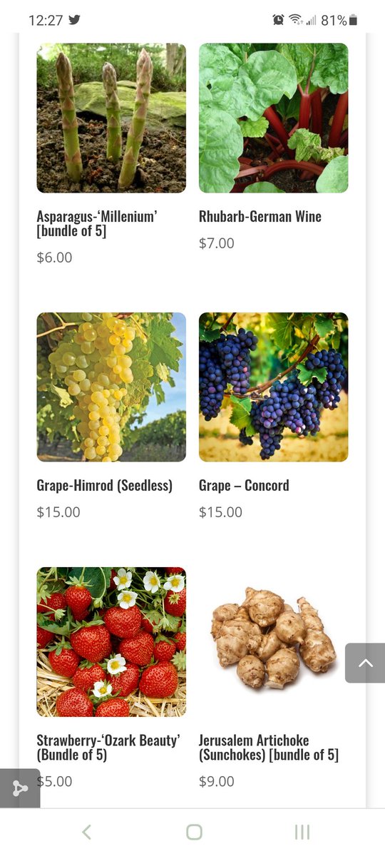 Christi Hodgson tweet media