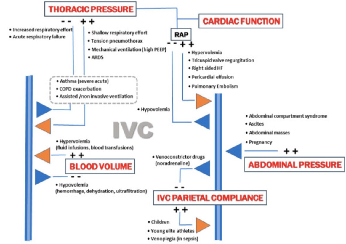 RECAT👩🏽‍⚕️🏥👨🏽‍⚕️🇲🇽🫀 tweet media