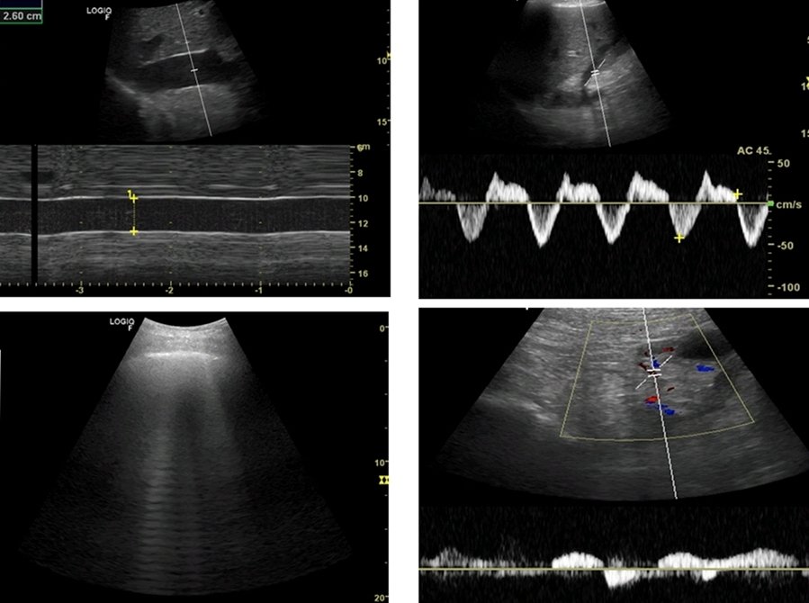 RECAT👩🏽‍⚕️🏥👨🏽‍⚕️🇲🇽🫀 tweet media