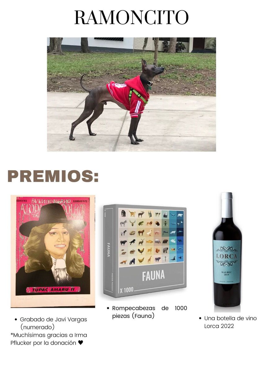 El perrito de unos amigos necesita una operación porque le detectaron un tumor en la pancita. Ellos están organizando una rifa para sacar fondos. Si pueden colaborar, háganlo por Yape o Plin. Si no pueden, ayuden difundiendo.