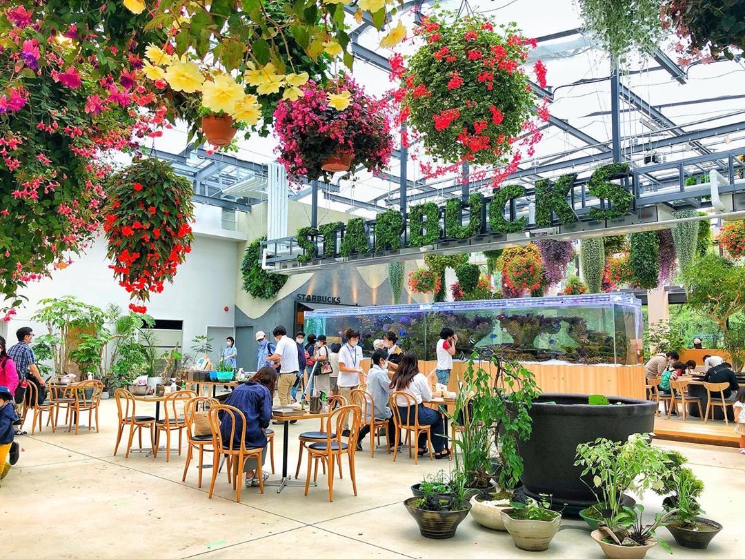 MerGarza's tweet photo. Vean este Starbucks ubicado en Japón, fue abierto en el 2020, como se puede ver esta dentro de un invernadero, y muchas muchas flores, aparte tiene un acuario de 8m de largo. Ubicado en el parque/jardín botánico Hana Biyori, ubicado en Tokyo. https://t.co/ViX1EbR7HL