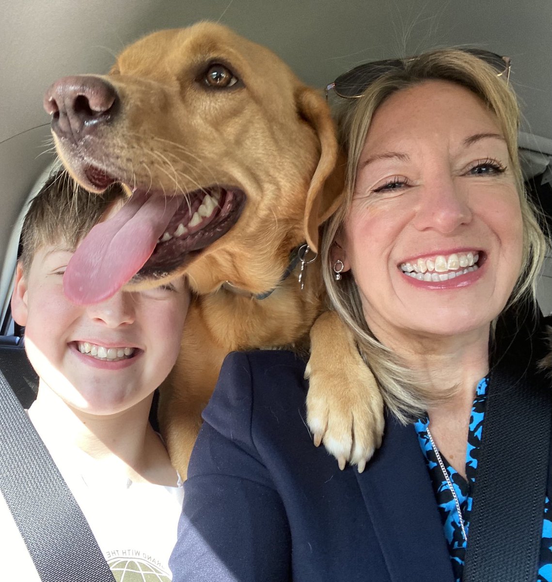 Anne Amlot tweet media