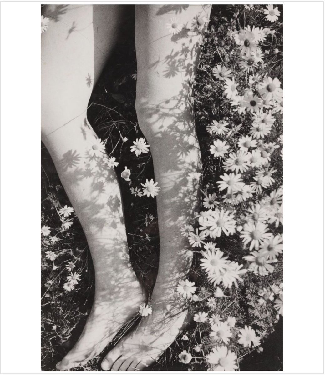 monoeilblog's tweet photo. Edwin Smith - Parmi les marguerites (1939)
👉 https://t.co/ClwHu9PGop
#edwinsmith #edwinSMITH #photography #photo #photographe #photographer #photographie #photographies #photographieartistique #photographienoiretblanc #foto #fotografia #bnwphotography #bnw https://t.co/BHbJXHQpRA