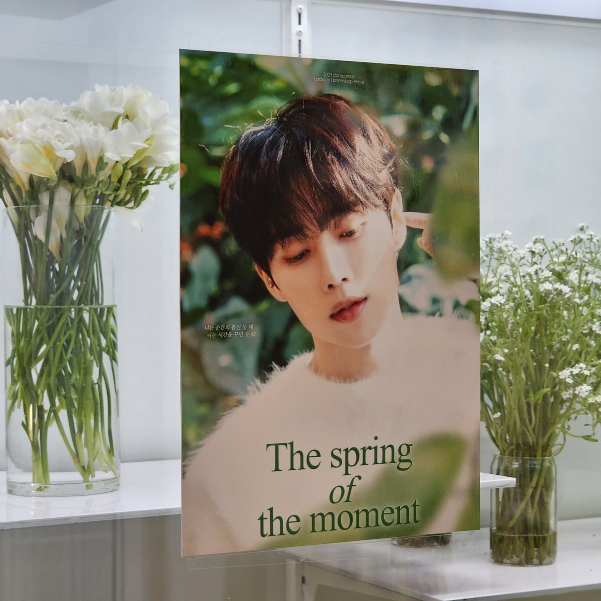 wassak_98's tweet photo. 걷다가 너무 예쁜 선우 포스터가 있어서 다녀왔어요 플라워샵 내부도 예뻤고, 조화 생화 꽃 고를 수도 있었어용
또 수익금의 일부는 선우 이름으로 기부된다고해서 더 좋���어요☺️

#순간의_봄_선우에게 https://t.co/ifWCOv2Geg