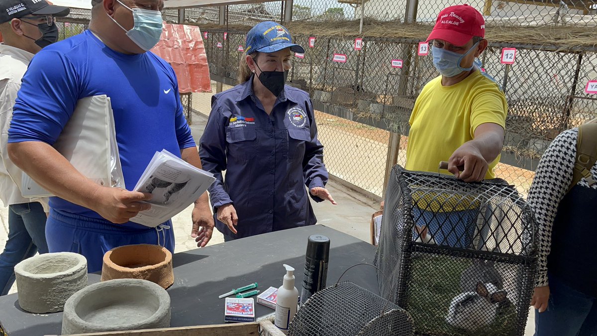 Derecho_paz's tweet photo. En #Anzoátegui, la población penitenciaria que hace vida en el centro de reclusión, adecuó espacios para desarrollar una granja de cunicultura, con el nombre “Oasis de Libertad”, espacio en el que se implementan las medidas sanitarias necesarias en el engorde y cría de la especie https://t.co/RpHEngY9By