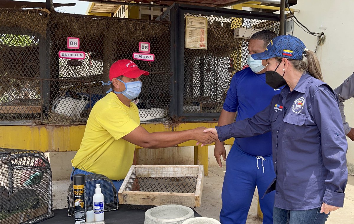 Derecho_paz's tweet photo. Estas actividades promueven la autosustentabilidad de los centros penitenciarios, además funcionan como herramientas para los beneficios adquiridos de cumplimiento de pena y la formación en oficios nuevos y productivos. https://t.co/vJoXPVoZVm