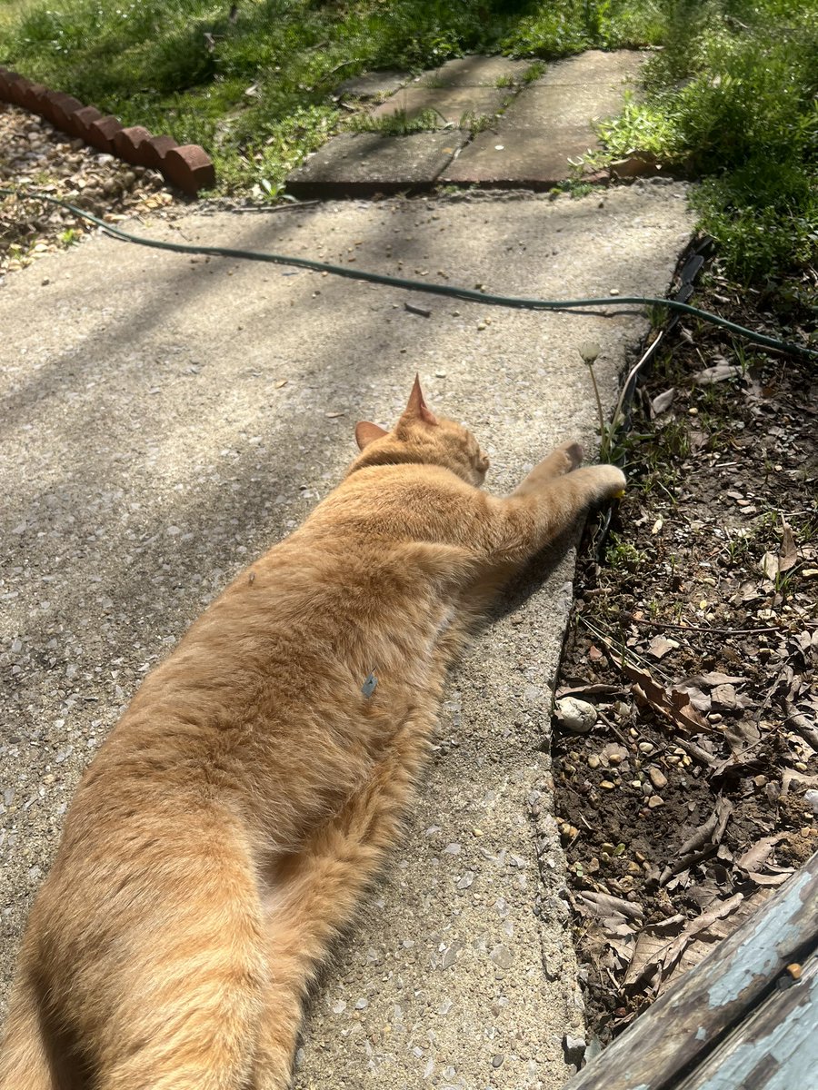 lindseyncop's tweet image. ☀️☀️☀️