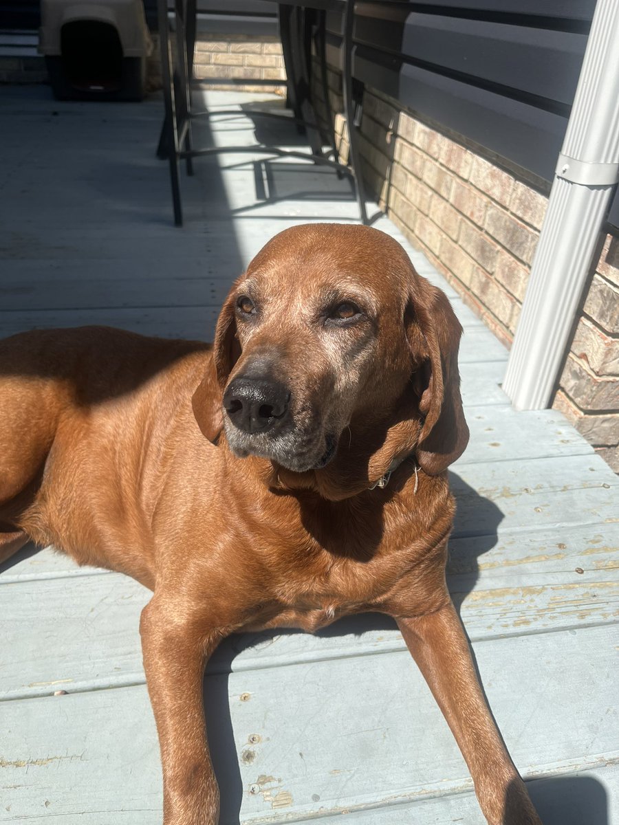 lindseyncop's tweet image. ☀️☀️☀️