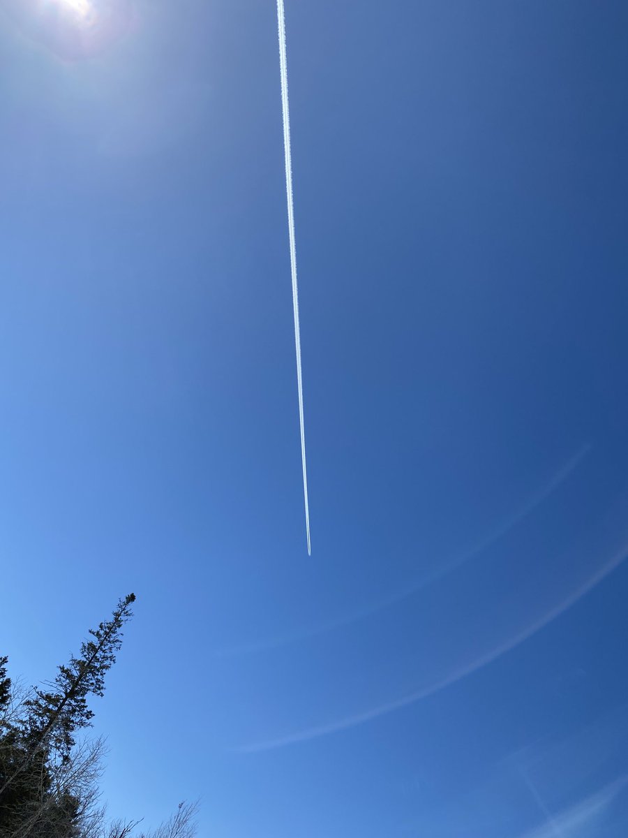 kim_grace12345's tweet image. A big old Happy Easter from the Liberal Regime. Warped fuckers. I am so sick of the abuse. #Trudeauhastogo #TrudeauisDestroyingCanada