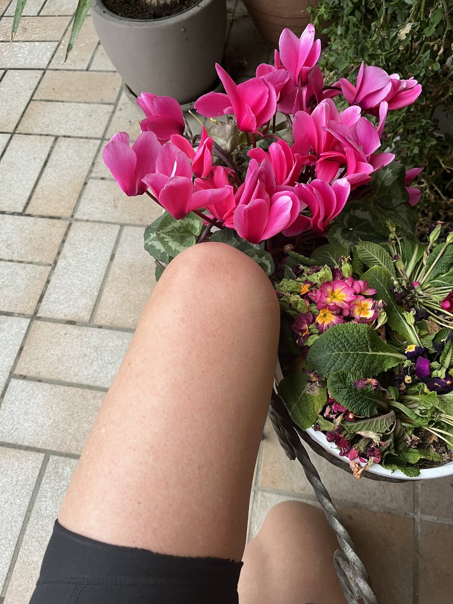 Sararunning's tweet photo. Per completare la giornata di festa mancava un po’ di sano e giusto movimento…5 km veloci sotto la pioggerella😅🏃🏻‍♀️ #Easterrun #nevergiveup https://t.co/IB0YgHh0ov