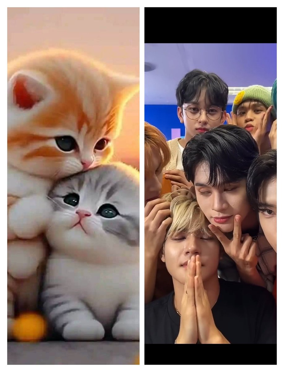 JoFriAn24🐼🧡♥️ tweet media