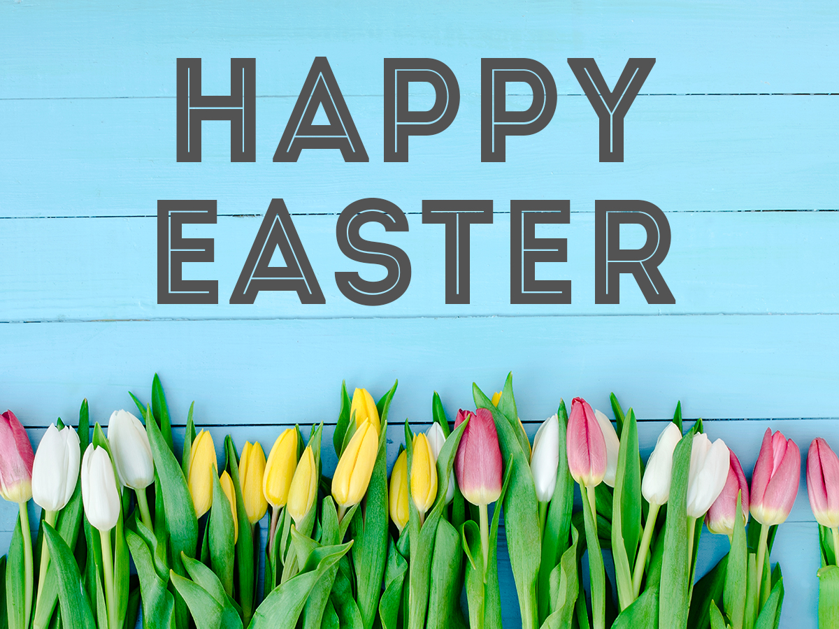 BalsamoRon's tweet photo. #Celebrate the people and colorful eggs in your life. #HappyEaster https://t.co/yrcp0eq3Lr