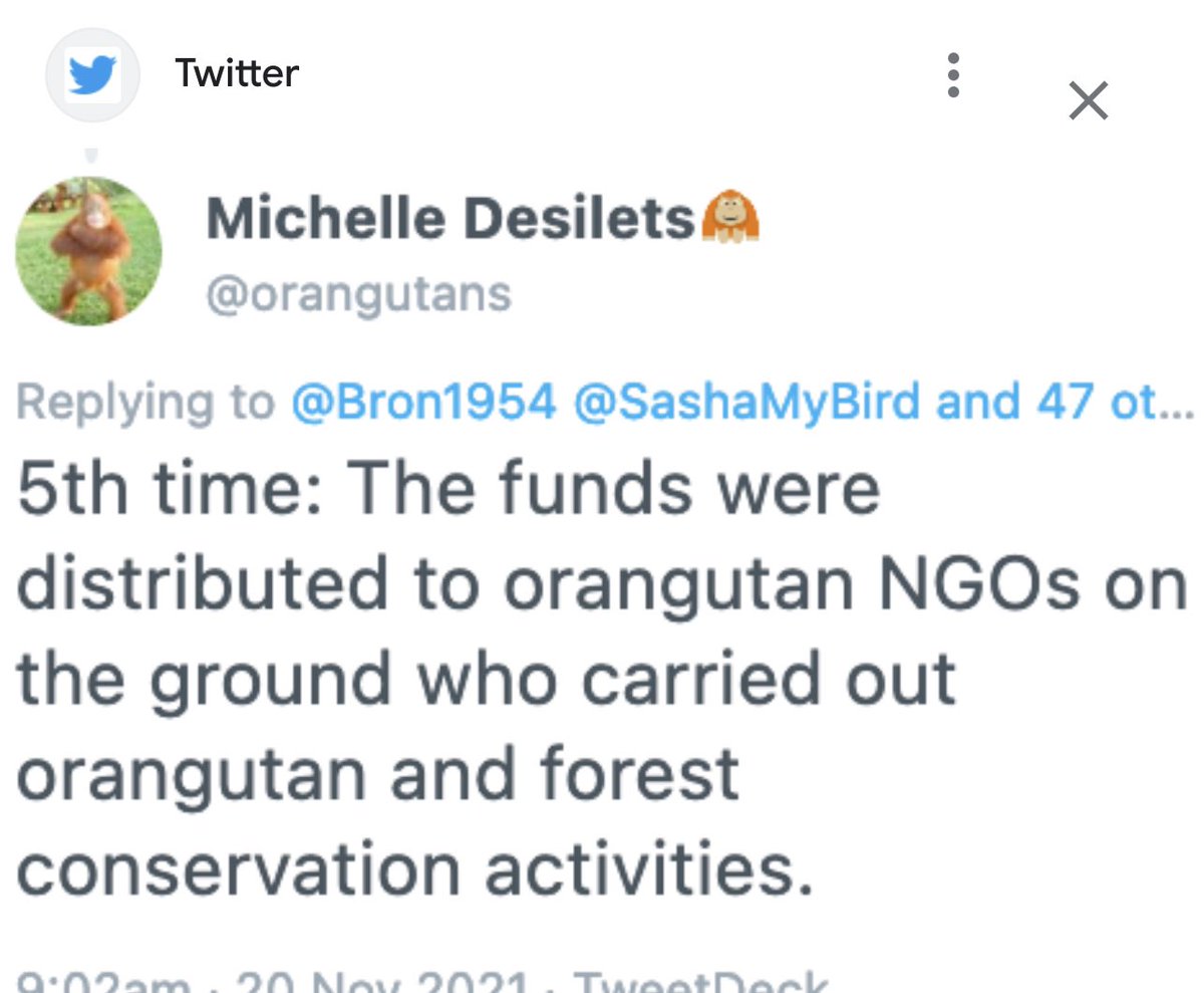 RileyTChiweenie's tweet photo. @orangulandtrust @tina_corthals @NBPTROCKS @sustainablist1 @EarthKeeper22 @BarbaraNavarro @Bron1954 @Adriana79929839 @WUR @BorneoFutures @orangutans @RSPOtweets @Unilever @Hersheys @JNJNews @Cargill @LOrealParisUSA @rspo DON’T BUY THE SUSTAINABLE LIE. 

Michelle = special interest / 

@RSPOtweets peddler. 

Still no answer to where the $500,000 went. https://t.co/tYtYsTNhT3