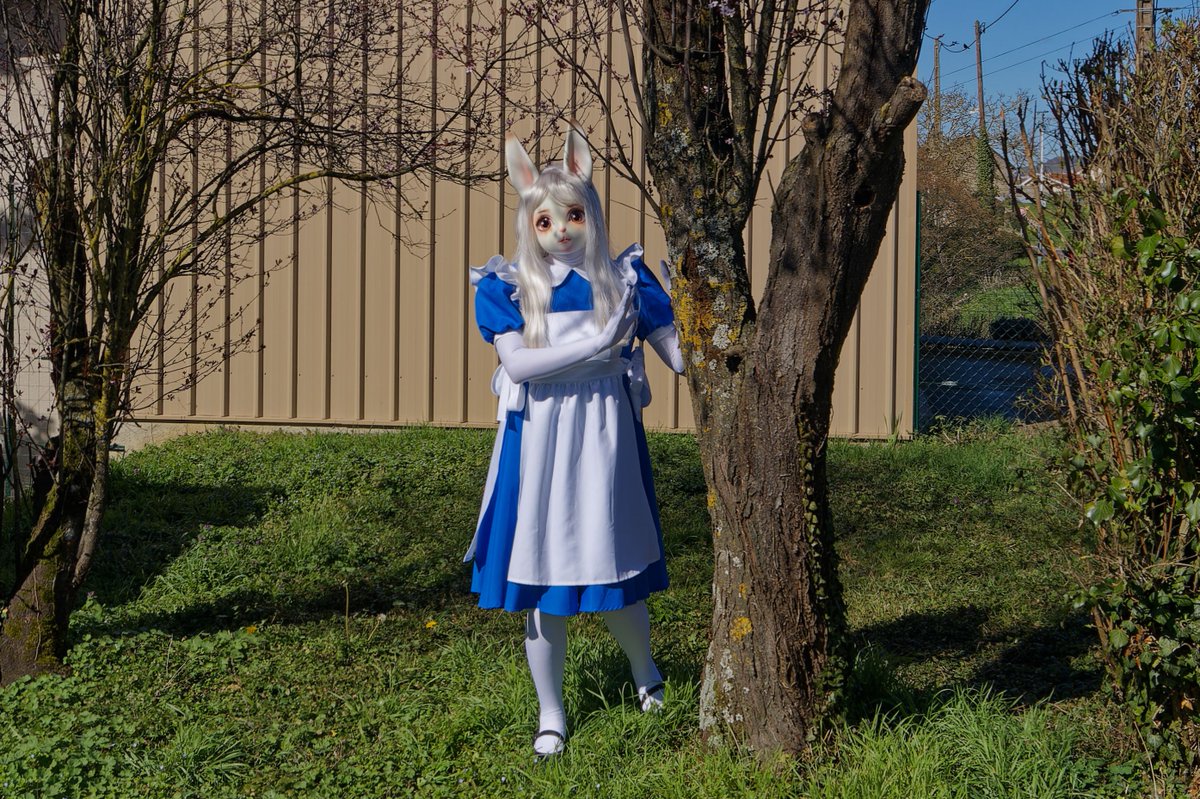 Aoi Kitsune tweet media