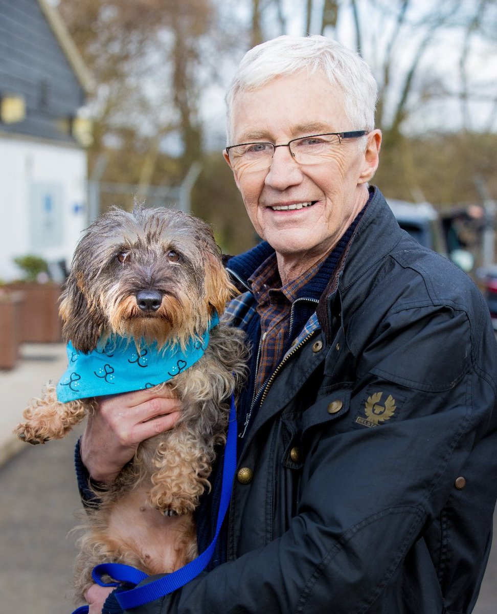 Watching #ForTheLoveOfPaulOGrady ❤️💔 How I will miss seeing this funny and kind man on my TV 😭 - one of my all time faves. I wish I'd seen him live. What a loss he is! 😔 #PaulOGradyRIP #ForTheLoveOfDogs #PaulOGrady  ❤️
