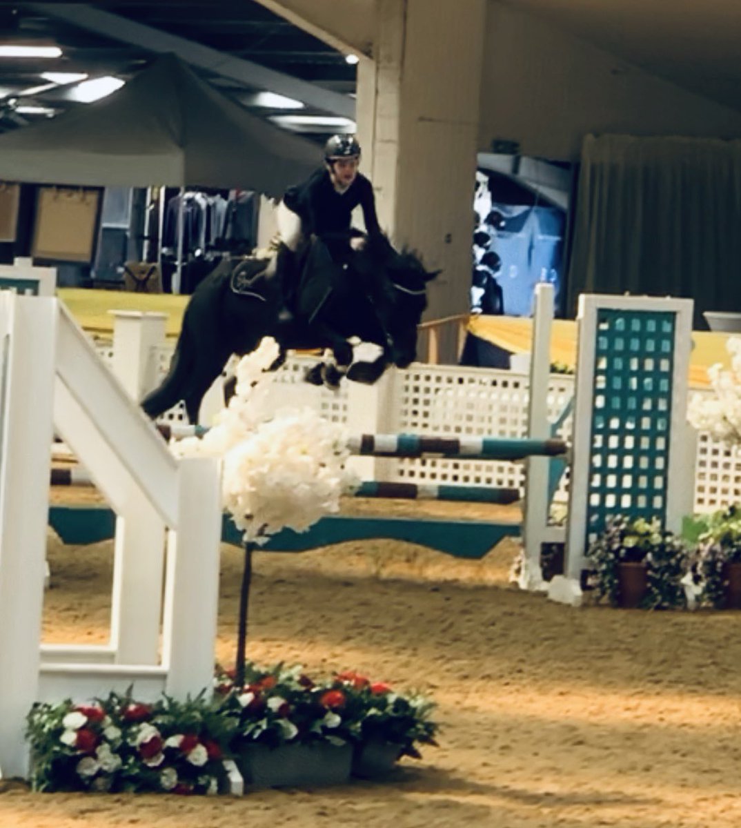 NewsEquine's tweet photo. A few photos and a vid from this weeks’ Pony of the Year show at Arena UK 🇬🇧 

Such a fun show. Thank you @EquineDreamsUK for your support ✨

#britishshowjumping #horsechat https://t.co/zCQiK7jrcM
