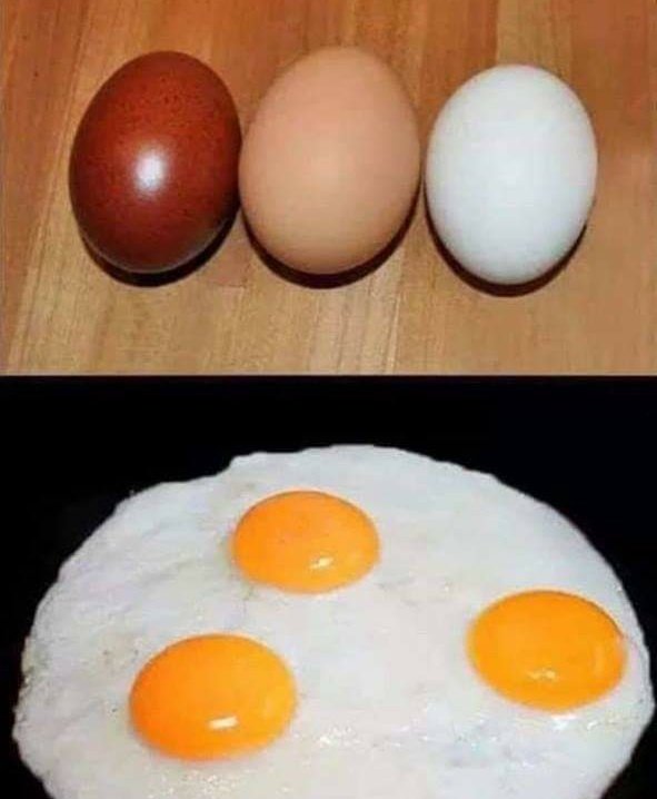 Racism for dummies