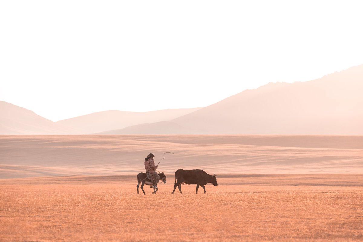 Excited to see my work included in the #NFTNYC2023 Community Artist Showcase next week at NFT.NYC! 

"Where We go" is part of the "Lovely Kyrgyzstan" collection