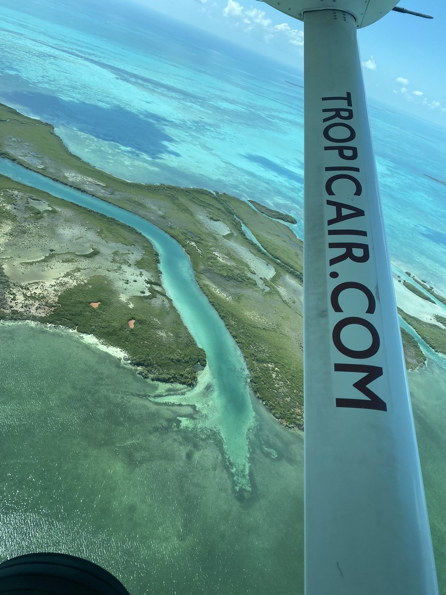 Thank you <a href="/tropicairbelize/">Tropic Air Belize</a> for the lift…and views!  Don’t stop Belizein’
#Belize