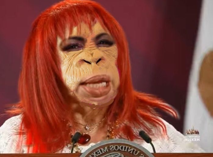 AhsokaTanoPad's tweet image. Dónde andará la cara se #simio #plastificada ❓