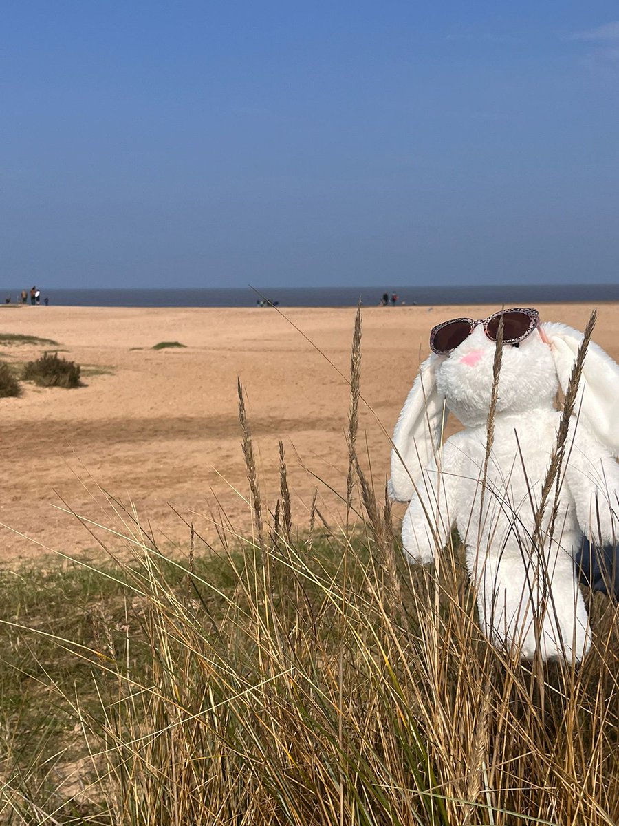 SytnerMINI's tweet image. Did you guess where Ginny was going? She’s made it to the beach!

#wheresginny #ginnyinthemini #ginnyonholiday #minirange #miniuk #sytnermini