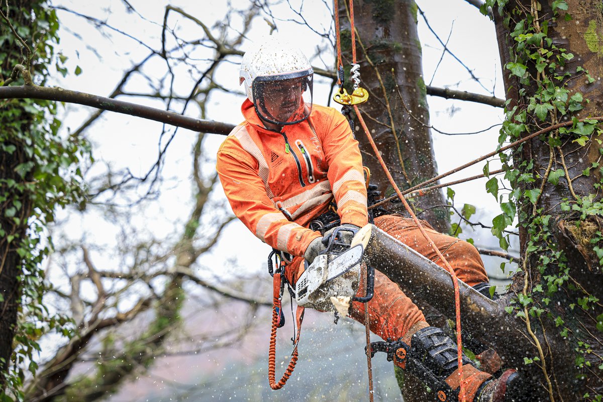 SASRopeandRail's tweet photo. SAS Rope and Rail Arb Division doing what it does best! Sometimes closing public walking routes is necessary to keep members of the public away from harm and complete the task in a safe manor.

#Employees #Professional #Safety #TransportForWales #devegetation #treecare https://t.co/pxurvdUA79