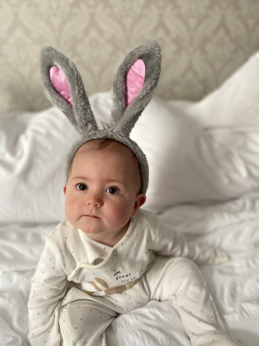 bethanllouise's tweet photo. My Darcy’s first Easter 🐣 💕 https://t.co/wtr3QJG4YN