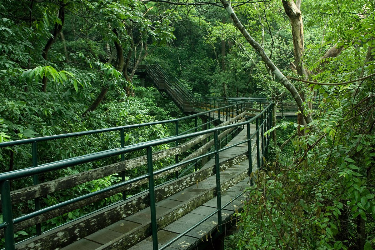 ThenmalaE's tweet photo. Welcome to Thenmala Ecotourism
For bookings and inquiries
𝖳𝖾𝗅: 𝟢𝟦𝟩𝟧-𝟤𝟥𝟦𝟦𝟪𝟢𝟢 𝖬𝗈𝖻 : 𝟫𝟦𝟫𝟨𝟥𝟦𝟦𝟪𝟢𝟢
𝖤𝗆𝖺𝗂𝗅: 𝗂𝗇𝖿𝗈@𝗍𝗁𝖾𝗇𝗆𝖺𝗅𝖺𝖾𝖼𝗈𝗍𝗈𝗎𝗋𝗂𝗌𝗆.𝖼𝗈𝗆 𝖶𝖾𝖻 :
https://t.co/v3572gHHpY https://t.co/9yHIwbIpp7